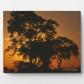 Plaque Photo Coucher de soleil de Savannah (Devant)