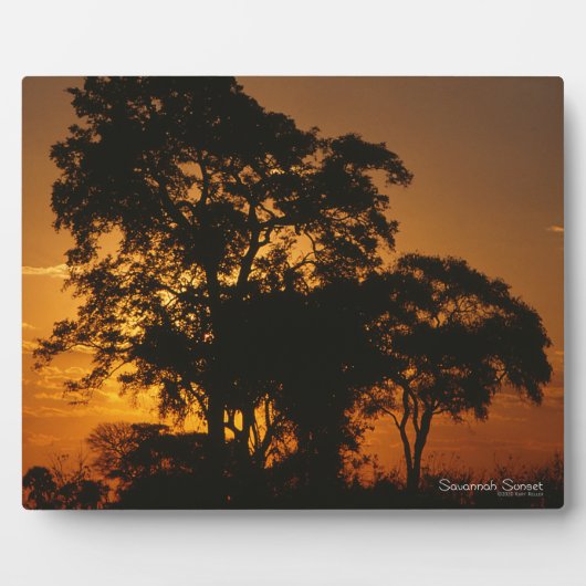 Plaque Photo Coucher de soleil de Savannah (Devant)