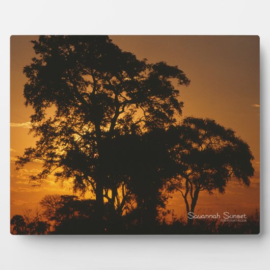 Plaque Photo Coucher de soleil de Savannah (Devant)