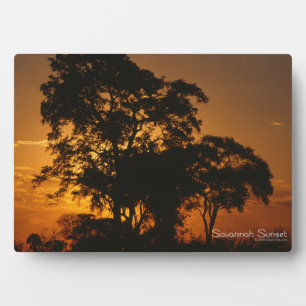 Plaque Photo Coucher de soleil de Savannah