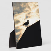 Plaque Photo Coucher de soleil de Sea Gull (Côté)