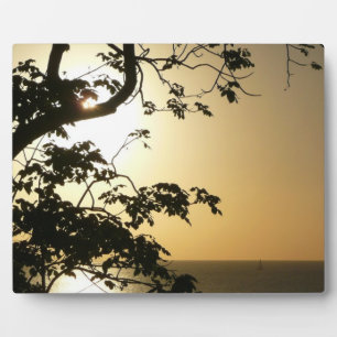 Plaque Photo Coucher du soleil à travers les arbres II Photogra