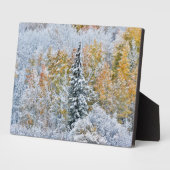 Plaque Photo Couleurs automnales des Aspens et du col Keebler (Côté)