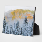 Plaque Photo Couleurs d'automne des Aspens et du col de la neig (Côté)