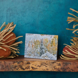 Plaque Photo Couleurs d'automne des trembles et neige Keebler P