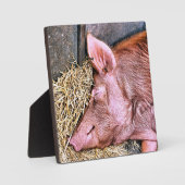 PLAQUE PHOTO COUPER (Recto)