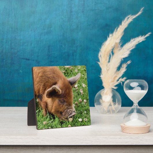 PLAQUE PHOTO COUPER (Insitu)