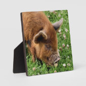 PLAQUE PHOTO COUPER (Recto)