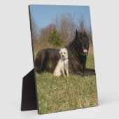 Plaque Photo Couple de chien mignon (Côté)