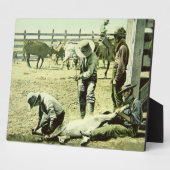 Plaque Photo Cowboys américains faisant la marque d'un veau, ve (Côté)