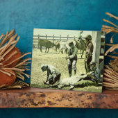 Plaque Photo Cowboys américains faisant la marque d'un veau, ve (Côté)