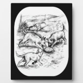 Plaque Photo Coyote Pups (Devant)