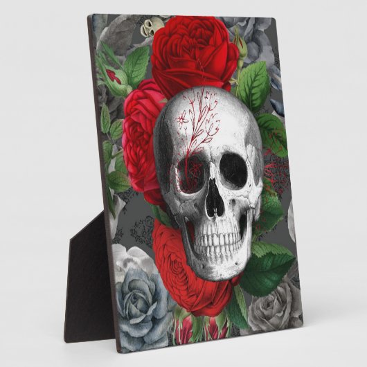 Plaque Photo Crâne (Côté)