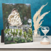 Plaque Photo Crème étonnante et papillon au chocolat (Côté)