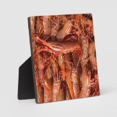 Plaque Photo Crevettes délicieuses (Recto)