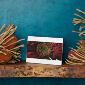 Plaque Photo Crimson Gerbera macro (Côté)