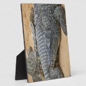 Plaque Photo Crocodiles (Côté)