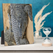 Plaque Photo Crocodiles (Côté)