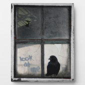 Plaque Photo Crow Devant L'Ancienne Fenêtre (Devant)