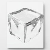 Plaque Photo Cube à glace (Devant)