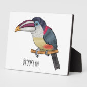 Plaque Photo Curl crested aracari bird cartoon (Côté)