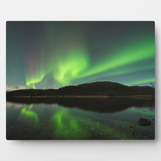 Plaque Photo Curling Aurora (Devant)