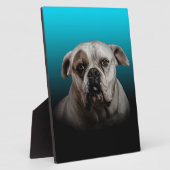 Plaque Photo Cute Boxer Dog w Blue Black Gradient arrière - pla (Côté)