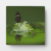 Plaque Photo Cute frog (Devant)