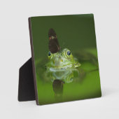 Plaque Photo Cute frog (Recto)
