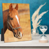 PLAQUE PHOTO CUTE HORSE (Côté)