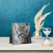 Plaque Photo Cute Kitten (Insitu)