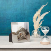 Plaque Photo Cute Little Kitten (Insitu)