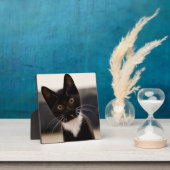 Plaque Photo Cute Noir Et Blanc Tuxedo Kitten (Insitu)