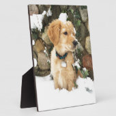 Plaque Photo Cute Puppy (Côté)