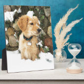 Plaque Photo Cute Puppy (Côté)