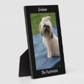 Plaque Photo Cute White Yorkshire Terrier (Côté)