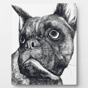 Plaque Photo Cutesse de chien de boxe