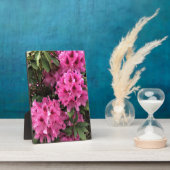 Plaque Photo Cynthia Rhododendrons, Oregon (Côté)