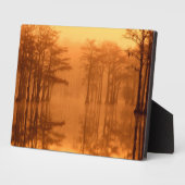 Plaque Photo Cypress Trees Parc d'état George Smith (Côté)