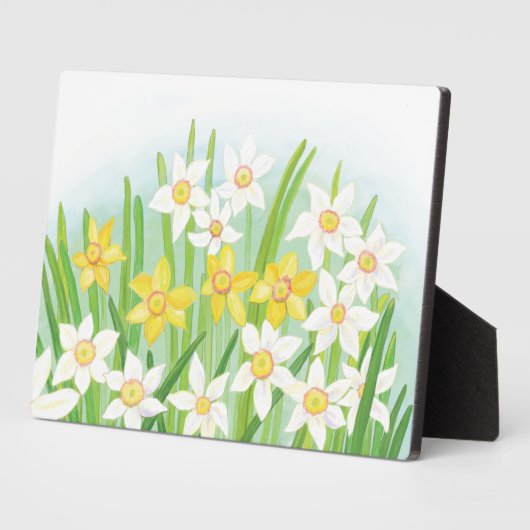 Plaque Photo Daffodiques de printemps (Côté)