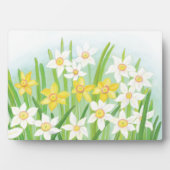Plaque Photo Daffodiques de printemps (Devant)
