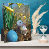 Plaque Photo Daffodiques et oeuf bleu de Pâques (Côté)
