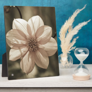 Plaque Photo Dahlia ensoleillé