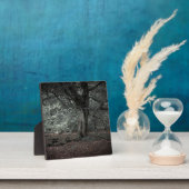 Plaque Photo Dans la forêt de conte de fées   (Insitu)