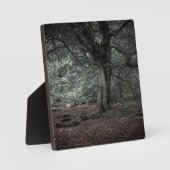 Plaque Photo Dans la forêt de conte de fées   (Recto)