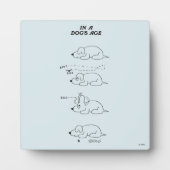 Plaque Photo Dans l'âge d'un chien (Devant)