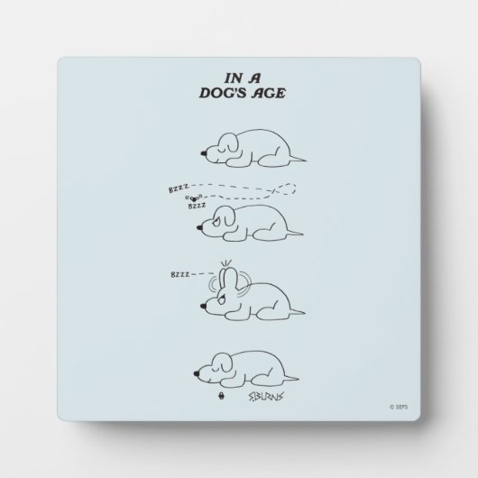 Plaque Photo Dans l'âge d'un chien (Devant)