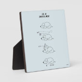 Plaque Photo Dans l'âge d'un chien (Recto)