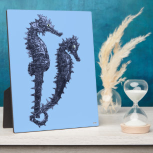 Plaque Photo Danse Des Chevaux De Mer (Bleu)