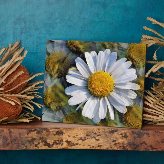 PLAQUE PHOTO DATES (Côté)